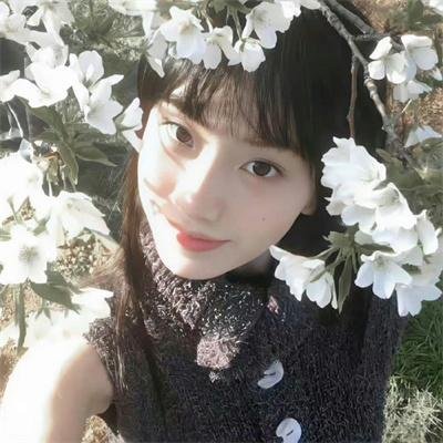 高山上的夏尔巴人